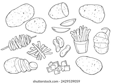 Conjunto de dibujo dibujado a mano ilustración de patatas maduras. Juego de bocetos de patatas Doodle