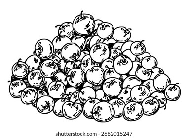 Hand drawn sketch style set of blueberries. A bunch of berries. Cranberry. Blueberries, bilberries isolated on white background. Forest berry. Eco food vector illustration.