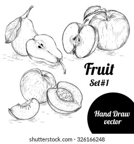 Hand drawn sketch style set of fruit. Vintage eco food vector illustration.