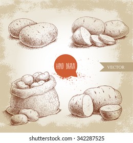 Hand drawn sketch style set illustration of ripe potatoes. Eco food vintage vector illustration