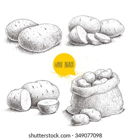 Hand drawn sketch style set illustration of ripe potatoes. Eco food vintage vector illustration