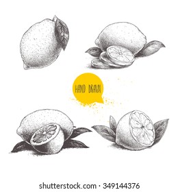 Hand drawn sketch style set of lemon fruit with leafs and sliced lemon. Retro vector illustration.