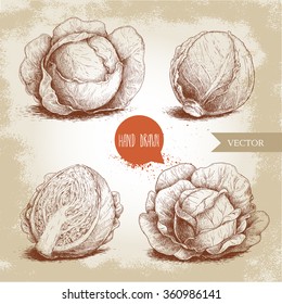 Hand drawn sketch style set of cabbages. Cabbage with leafs. Organic fresh food vector illustration. 