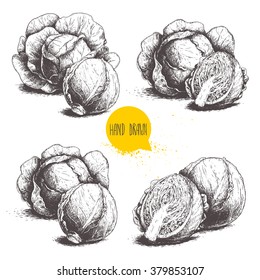 Hand drawn sketch style set of cabbages. Organic fresh farm food vector illustration isolated on white background. 