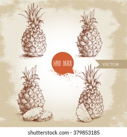 Hand drawn sketch style set illustration of ripe pineapples. Exotic tropical fruit vintage vector illustration