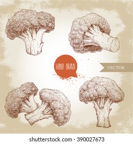 Hand drawn sketch style set illustrations of  broccoli. Healthy ecological food vintage vector drawings. Compositions isolated on grunge background