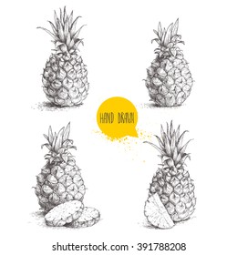 Hand drawn sketch style set illustrations of ripe pineapples. Exotic tropical fruit vector drawings isolated on white background.
