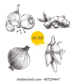 Hand drawn sketch style set illustration of different spices isolated on white background. Garlics with cloves, ginger root, onion and jalapeno peppers.