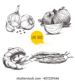 Hand drawn sketch style set illustration of different spices isolated on white background. Garlics with cloves, ginger root, onions and sliced red hot chili peppers.