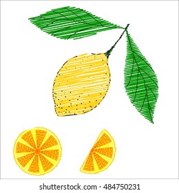 Hand drawn sketch style set of lemon fruit with leafs and sliced lemon in color. isolated on white background
