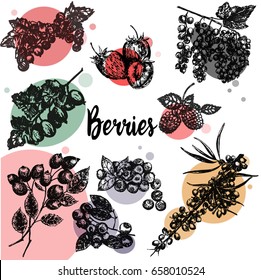 Hand drawn sketch style set of different kinds of berries. Vector illustration isolated on white background.