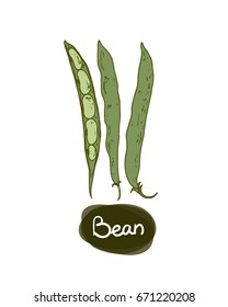 Hand drawn sketch style set of beans. Colored.