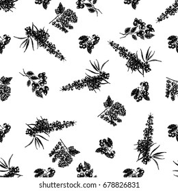 Hand drawn sketch style set of different kinds of berries. Vector illustration isolated on white background.