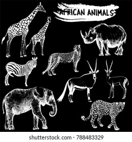 Hand drawn sketch style set of African animals - giraffe, zebra, elephant, cheetah, oryx, leopard, gazelle and rhino. Vector illustration isolated on black background.