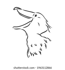 Hand drawn sketch style shoebill. Vector illustration isolated on white background.