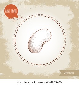 Hand drawn sketch style single white bean. Vector illustration of healthy diet food isolated on old looking background.