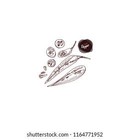 Hand drawn sketch style sliced Chili peppers . Vector illustration.