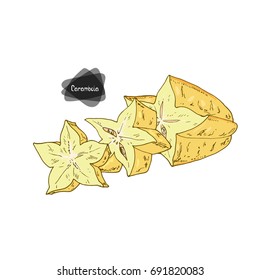 Hand drawn sketch style sliced carambola and half carambola on white background. Color illustration.