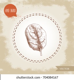 Hand drawn sketch style spinach leaf. Organic diet food vector illustration isolated on old background. Farm fresh product. Healthy food.