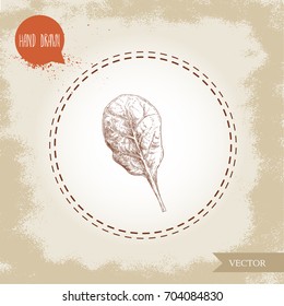 Hand drawn sketch style spinach leaf. Organic diet food vector illustration isolated on old background