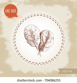 Hand drawn sketch style spinach leaves. Organic diet food vector illustration isolated on old background. Farm fresh herbal product. 