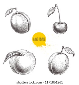 Hand drawn sketch style summer fruits set. Plum, apricot, cherry and peach. Healthy organic food. Farm market products. Best for package design. Vector illustration.