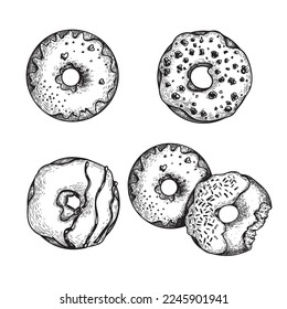 Hand drawn sketch style tasty donuts set. Sweet desserts collection. Best for posters, menu designs and packaging. Vector illustrations.