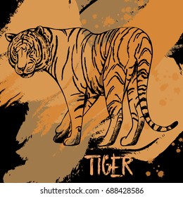 Hand drawn sketch style tiger. Isolated vector illustration.