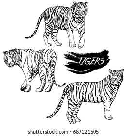 Tigress Stock Images, Royalty-Free Images & Vectors | Shutterstock