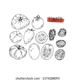 Hand drawn sketch style tomato set. Ripe ahd sliced tomato. Dried tomato. Vector illustration. 