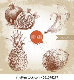 Hand drawn sketch style tropical fruits set. Banana, coconut, pineapple and pomegranates with seeds. Vintage eco food illustration.