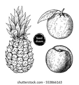 Hand drawn sketch style tropical fruits set. Pineapple, orange and peach. Vector vintage illustration. Menu design element.