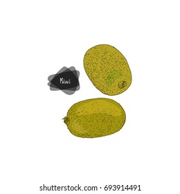 Hand drawn sketch style two kiwi on white background. Color illustration.