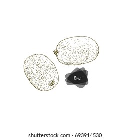 Hand drawn sketch style two kiwi on white background. Vector illustration.