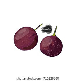 Hand drawn sketch style two ripe passion fruits on white background. Color illustration. 
