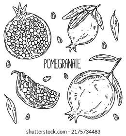 Esbozo dibujado a mano estilo pomegranato vector aislado en fondo blanco, ilustración de comida ecológica