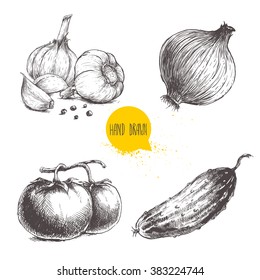 Hand drawn sketch style vegetables set. Tomatoes, onion, cucumber and garlics with pepper. Vintage fresh farm market food illustration.