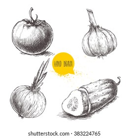 Conjunto de verduras tipo boceto dibujado a mano. Tomate, cebolla, pepino cortado y ajo. Vintage ilustración del mercado de alimentos de granja.