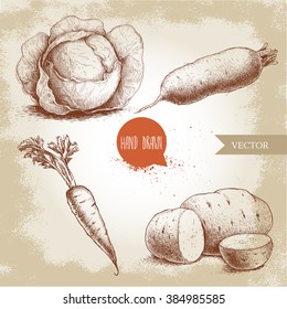 Hand drawn sketch style vegetables set. Cabbage, beet root, potatoes and carrot with leafs. Farm fresh food on grunge vintage background.