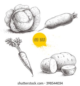 Hand drawn sketch style vegetables set. Cabbage, beet root, potatoes and carrot with leafs. Farm fresh food isolated on white background.