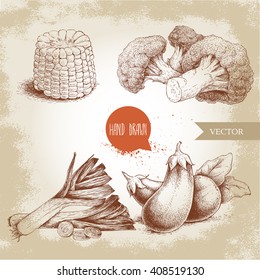 Hand drawn sketch style vegetables set. Leeks , eggplants, broccoli and sweet corn maize piece. Farm fresh food on grunge vintage background.