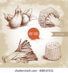 Hand drawn sketch style vegetables set. Leeks, eggplants, broccoli and sweet corn slice. Farm fresh food on grunge vintage background.
