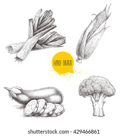 Hand drawn sketch style vegetables set. Leeks, eggplant with slices, broccoli and sweet corn maize. Farm fresh food isolated on white background.