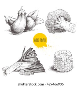 Hand drawn sketch style vegetables set. Leeks, eggplants, broccoli and sweet corn slice. Farm fresh food isolated on white background.