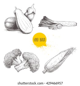Hand drawn sketch style vegetables set. Leeks and slices, eggplant and half aubergine, broccoli and sweet corn slice. Farm fresh food isolated on white background.
