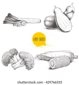 Hand drawn sketch style vegetables set. Leek with slices, eggplant with half aubergine, broccoli and sweet corn maize. Farm fresh food isolated on white  background.