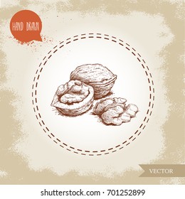 Hand drawn sketch style walnut group. Eco food vector illustration isolated on vintage background. Food component and snack artwork.