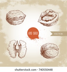 Hand drawn sketch style walnuts set. Whole, half and walnut seed. Eco healthy food vector illustration. Isolated on old looking background. Retro style.