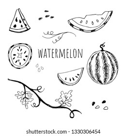 Hand drawn sketch style watermelon set vector illustration isolated on white background. Whole and parts, branch and leaf. Farm fresh healthy food fruits. Summer paty symbols concept.