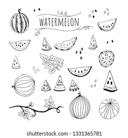 Hand drawn sketch style watermelon set vector illustration isolated on white background. Whole and parts, branch and leaf. Farm fresh healthy food fruits. Summer paty symbols concept.